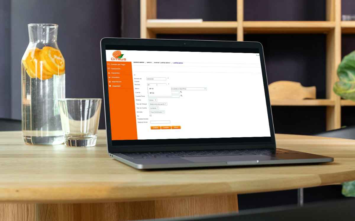 Vemos una imagen de la interfaz de Citrus ERP.